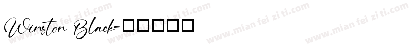 Winston Black字体转换